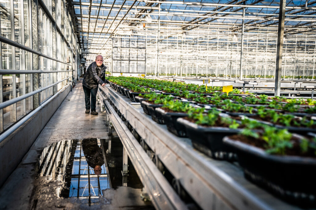 Word meewerkend voorman groenproductie bij Scalabor. Werk in de kas, stuur een team aan en help mensen groeien in werk en zelfvertrouwen.
